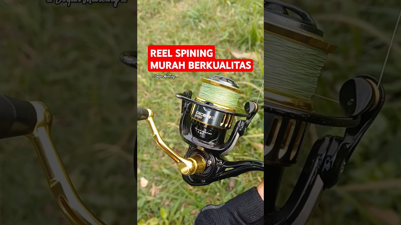 Reel pancing Murah Berkualitas !! Daido Ocea SW