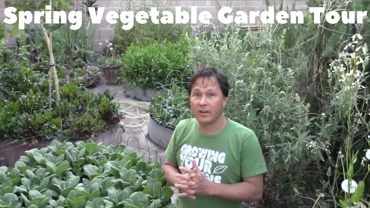 Abundant Spring Backyard Organic Vegetable Garden Tour