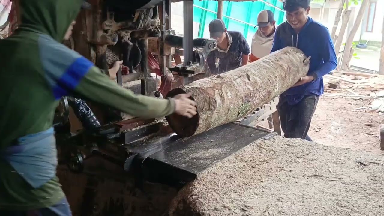 HAJAR PEMULA DI SUGUHI KAYU BERAT JENIS KERAS