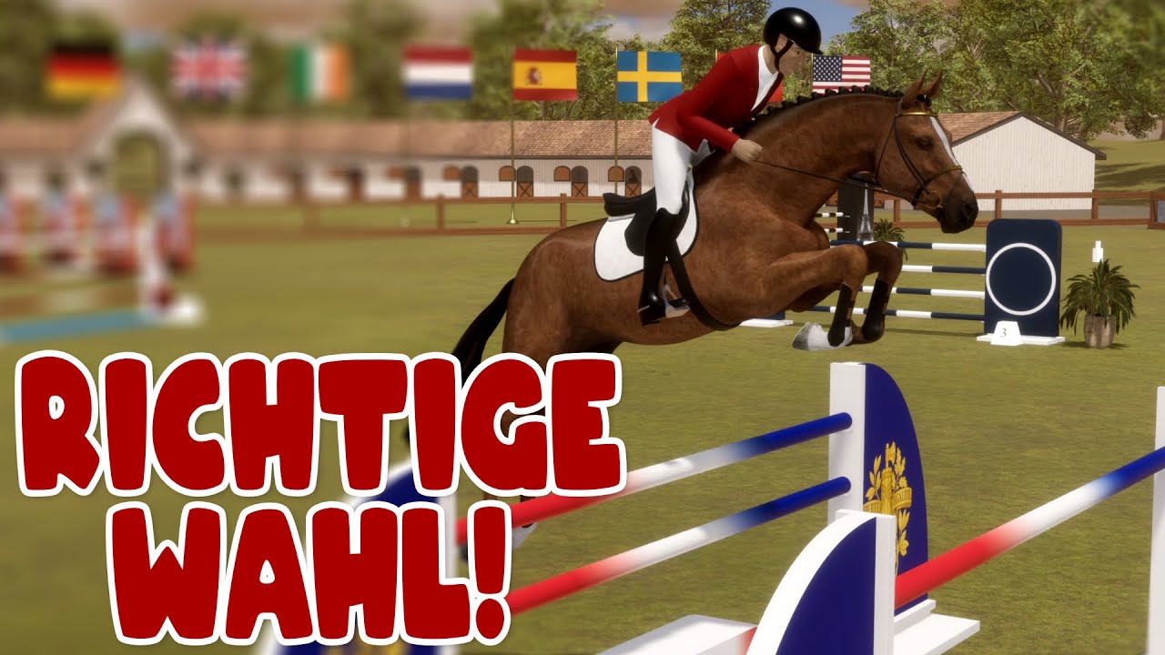 Rückschritt mit Erfolg!🏆 🐴 Pro Show Jumping