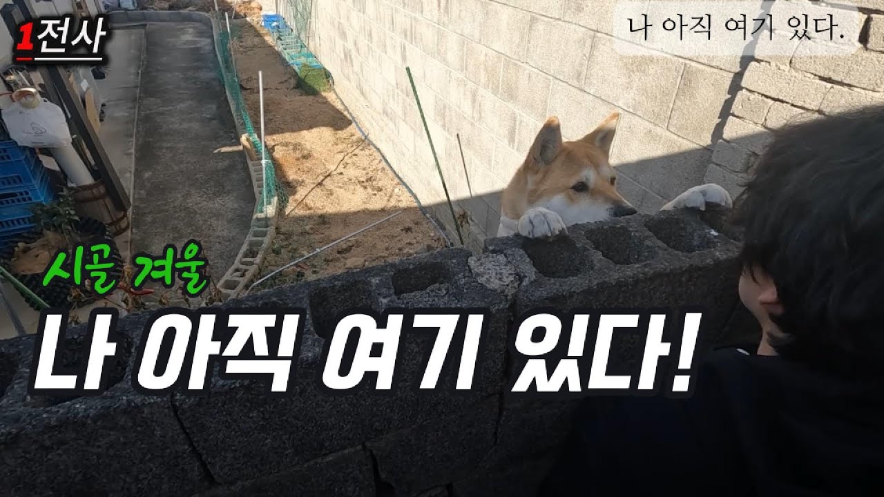 주말마다 마당에 불을 피우는 이유?