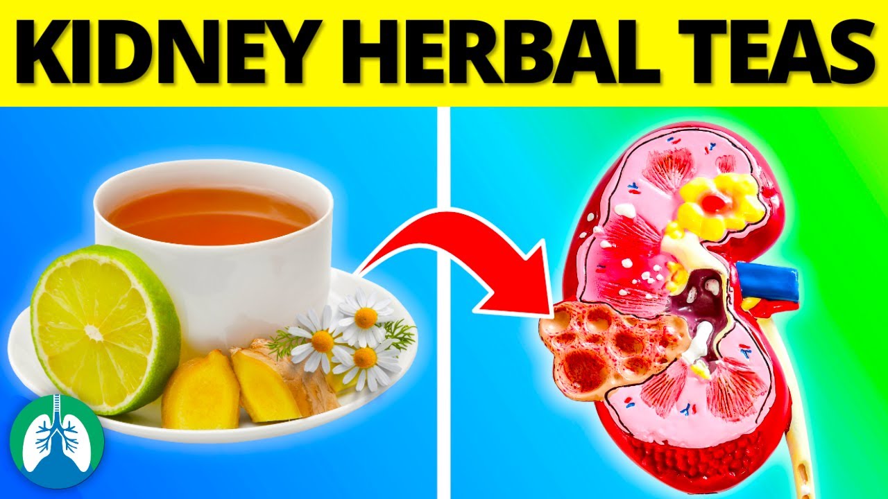 Top 13 BEST Herbal Teas for Kidney Repair