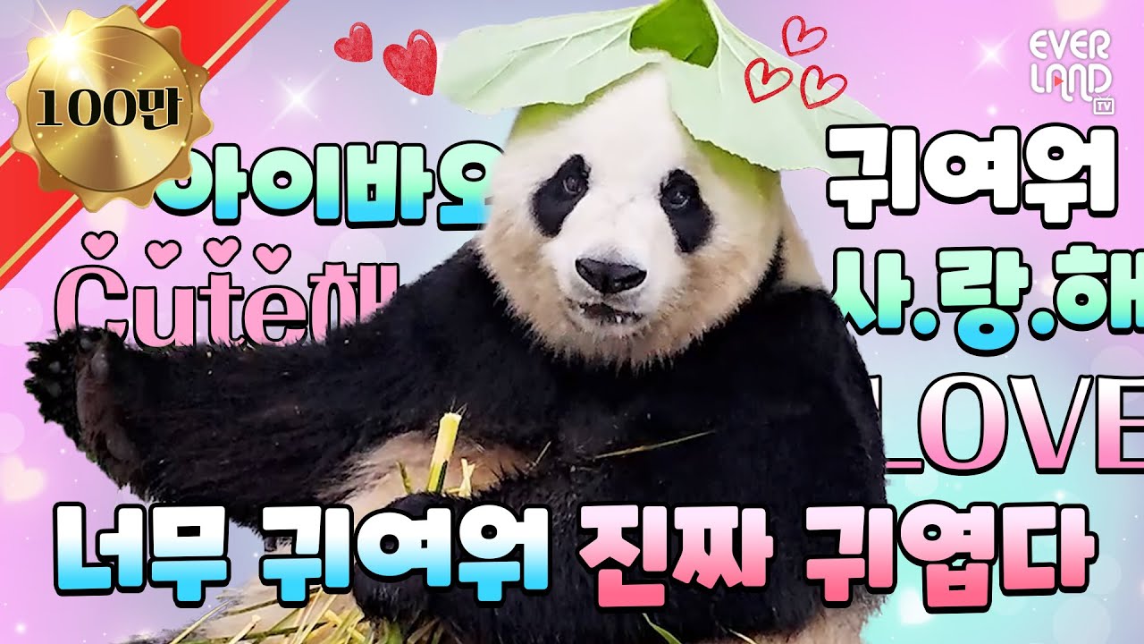 [ENG] 세상에서 제일 치명적인 브이로그 (Feat. 아이바오)│#판다와쏭 #103