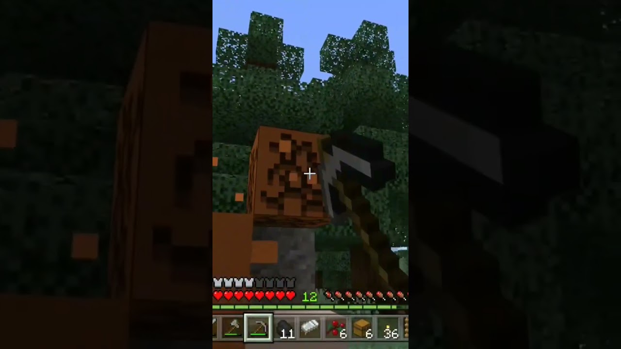 What is this? 