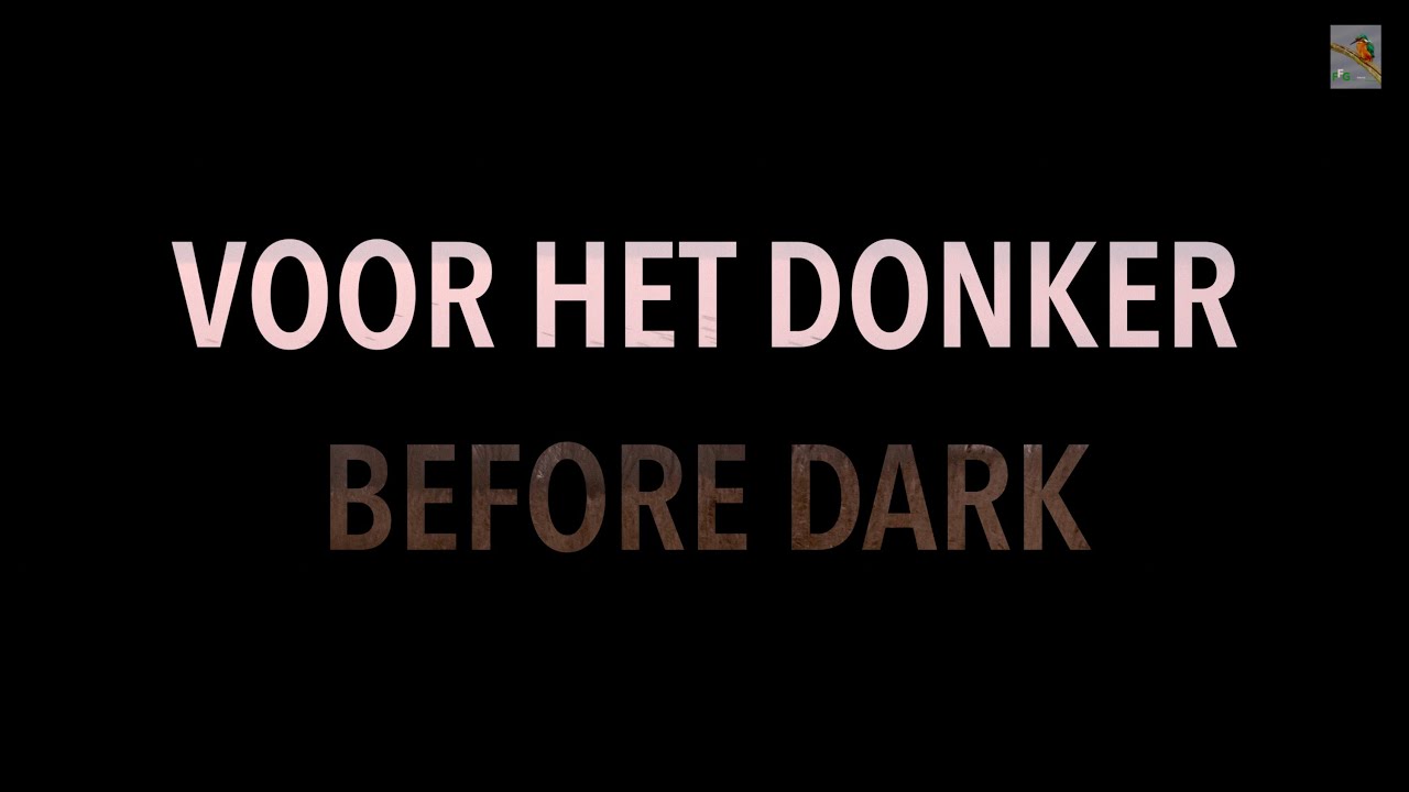 LAUWERSMEER VERHALEN 🇳🇱 VOOR HET DONKER 🇬🇧 BEFORE DARK