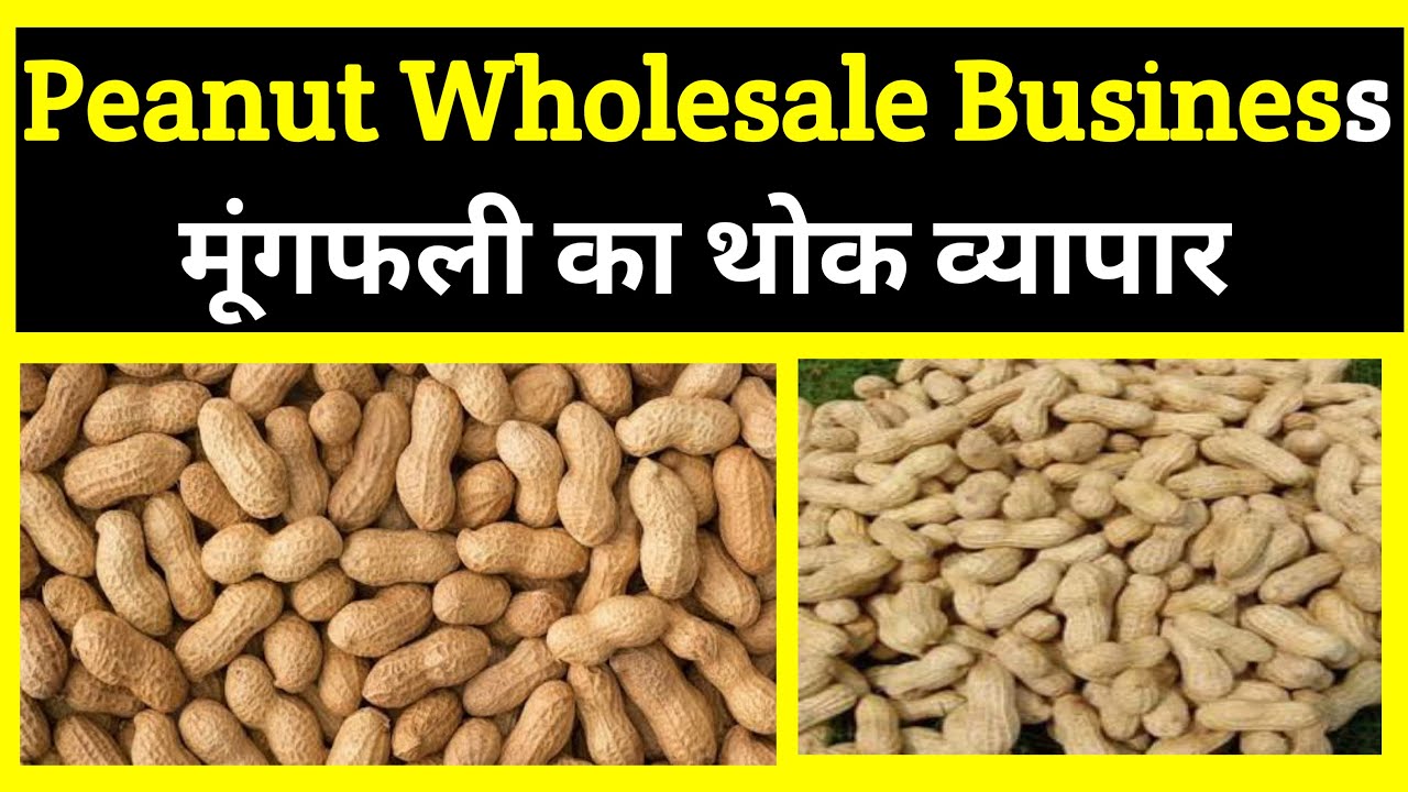 Peanut Wholesale Business