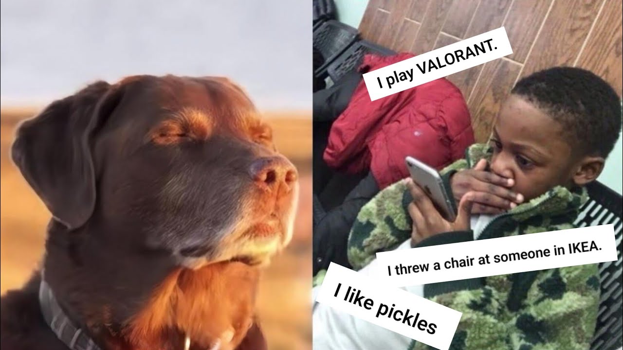 Your Wild Confessions