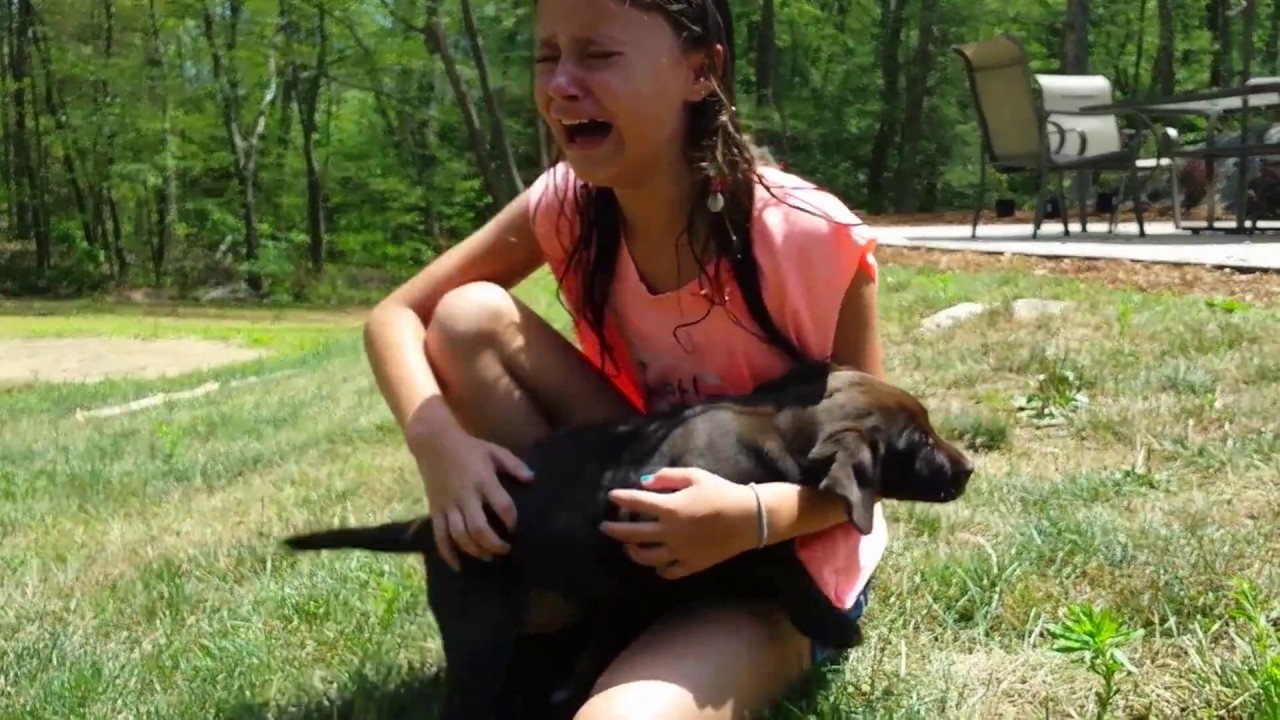 Daughter surprised by new puppy