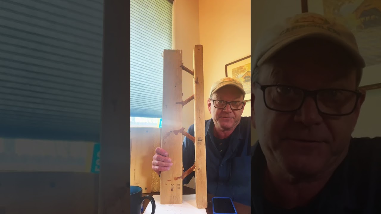 Carbonless: Sustainable Building Podcast #5 BareNaked Tstud 7-1/4”