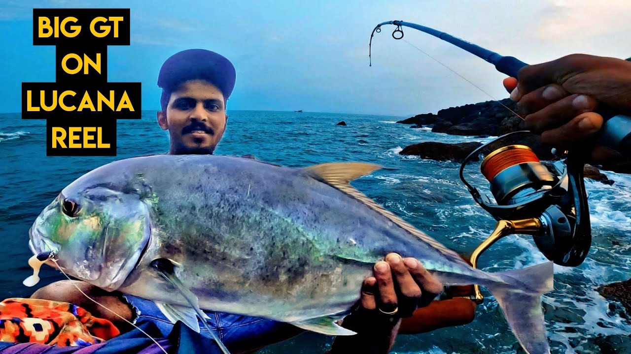 I hooked a MONSTER fish on budget fishing reel | GOA fishing