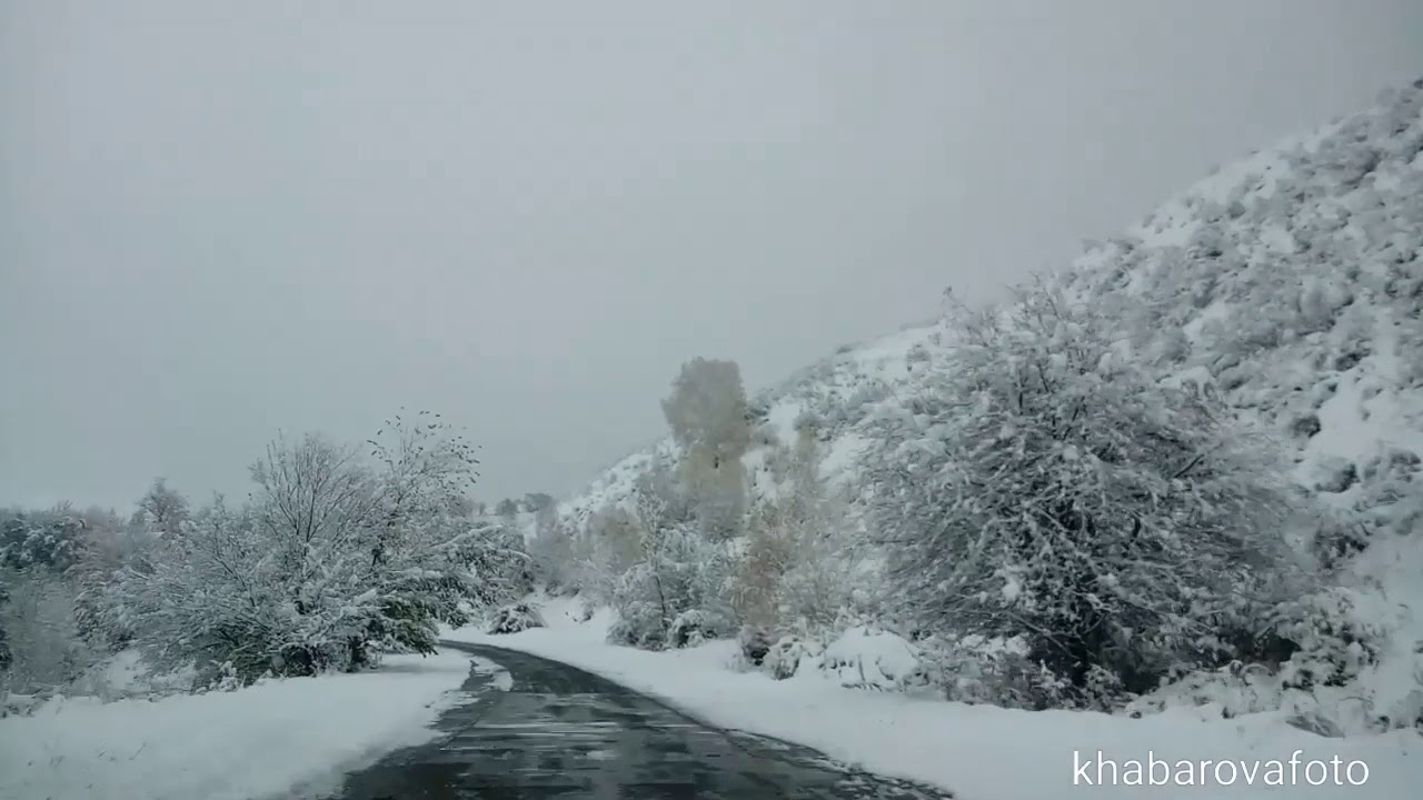 ТЕКЕЛИ 17.10.2018 ГОД.