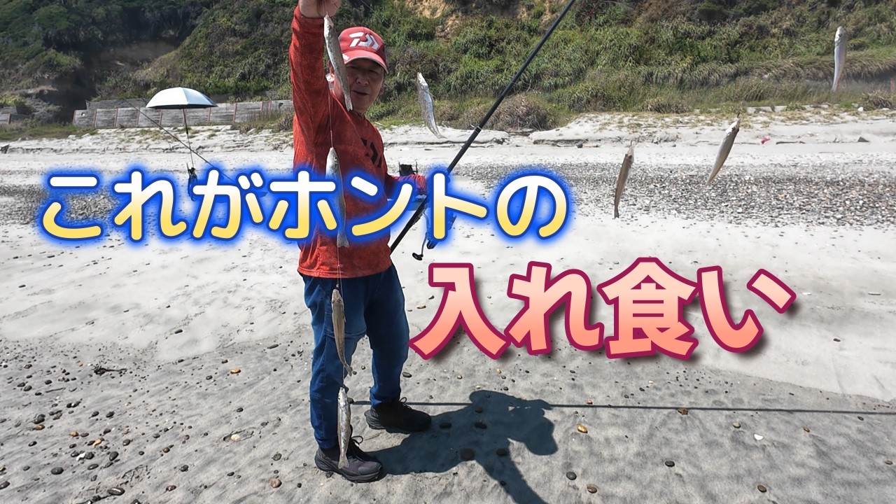 入れ食い！　クーラー満タン‼