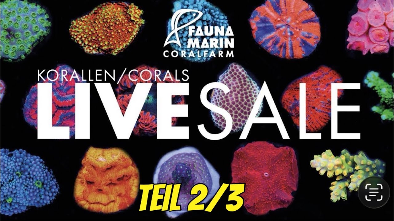 Fauna Marin Reef News Live