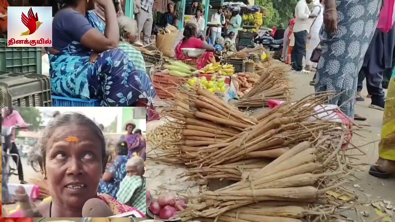 பனங்கிழங்கு சீசன் தொடங்கியும் விற்பனை மந்தம் - பனை தொழிலாளர்கள் கவலை