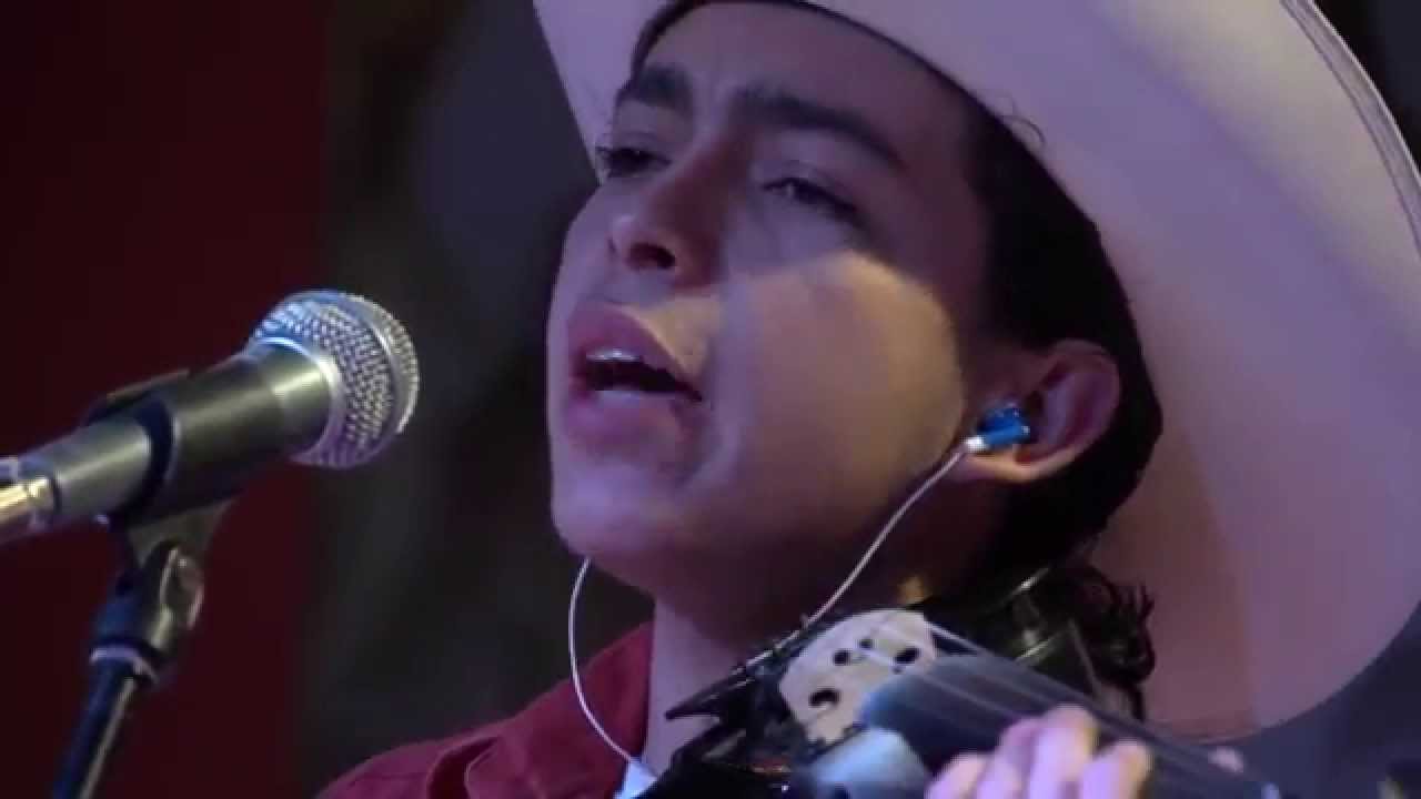 Gorrión Serrano Festival del huapango arribeño y la cultura de la Sierra Gorda. Xichú, Gto.