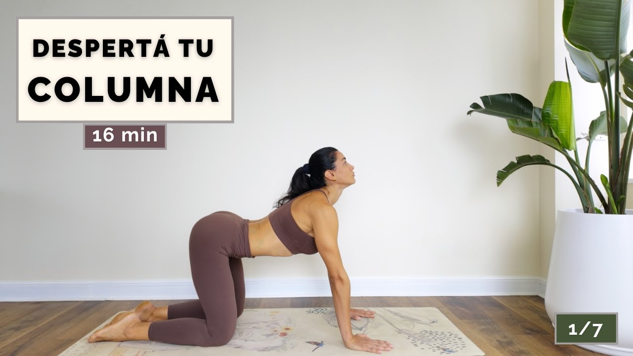 Reto 7 Días Flexibilidad y Movilidad – Día 1 | Despertar de la Columna (16 min)