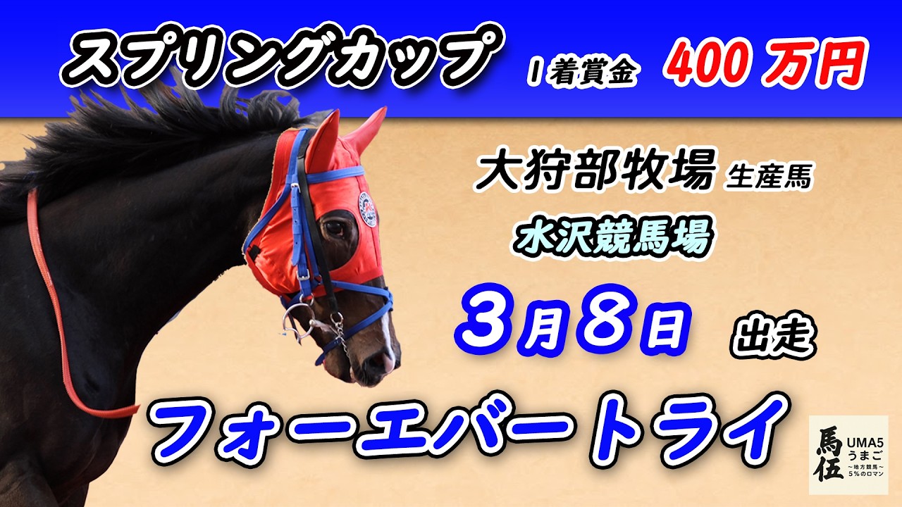 【フォーエバートライ】スプリングカップ挑戦｜３歳シーズン初戦｜通算9戦目
