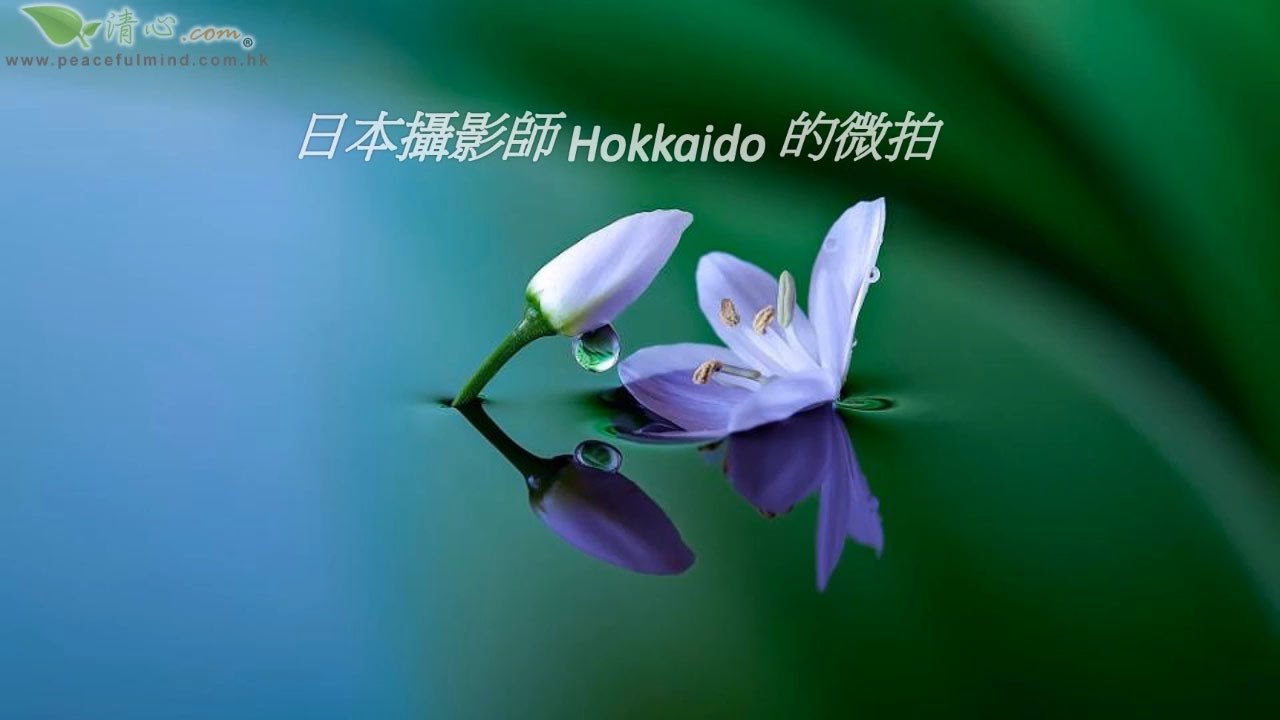 日本攝影師 Hokkaido 的微拍