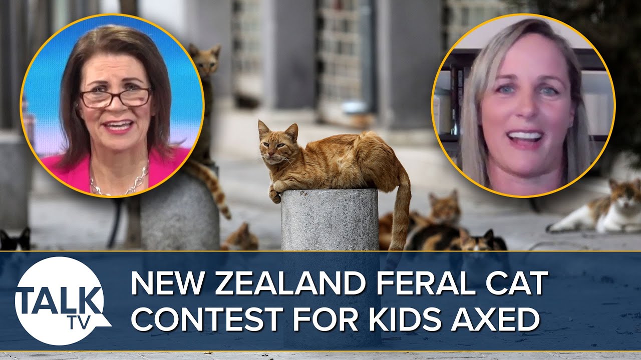 “What Is Going On In Your Country!” New Zealand Feral Cat-Killing Contest For Children Cancelled