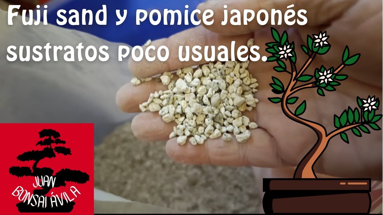 Fuji sand y pomice japonés, sustratos a tener en cuenta.