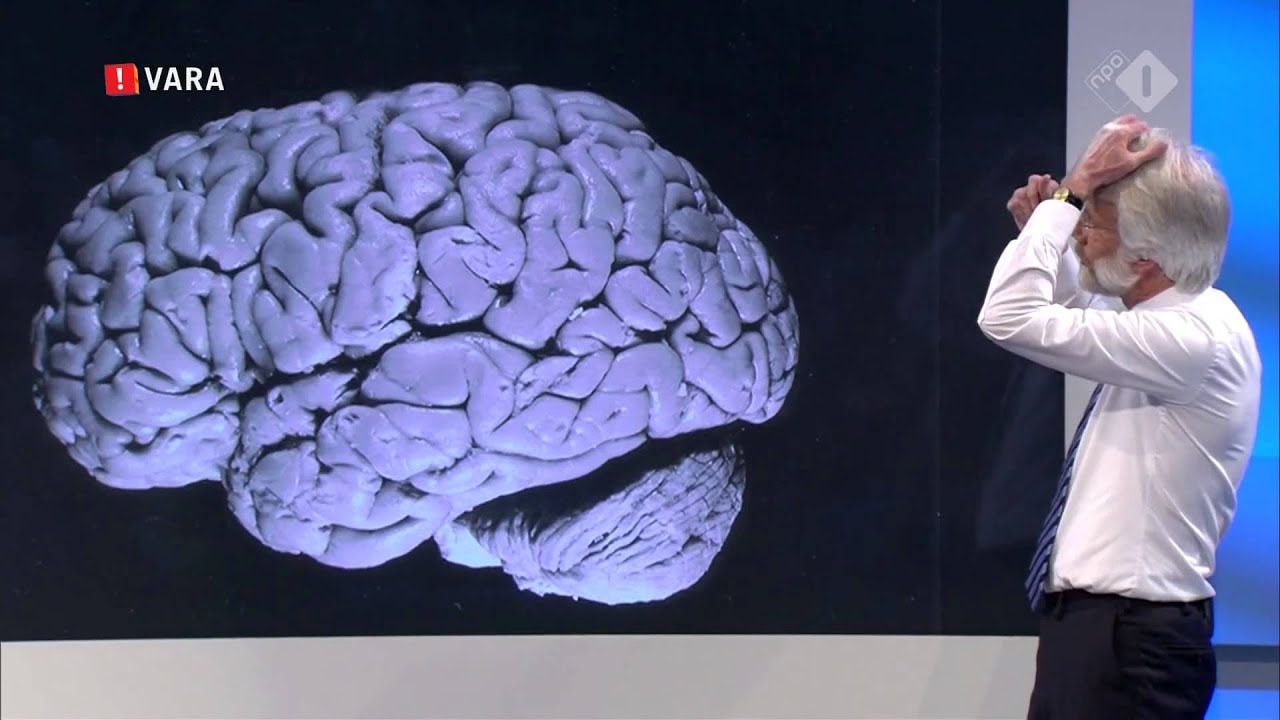 Erik Scherder vertelt over de ziekte Alzheimer