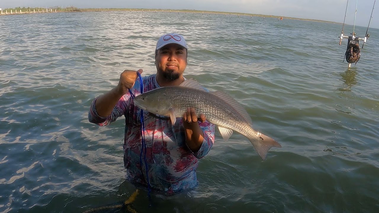 Big Reds Love Live Mullet in Port Mansfield | Bonus Flounder on AM Lures