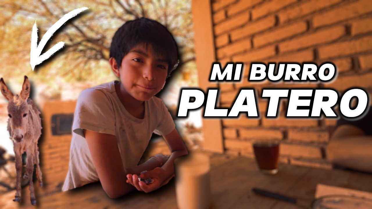 UN BURRO UNA LLAMA Y UNA VACA la infancia de éste NIÑO🥹