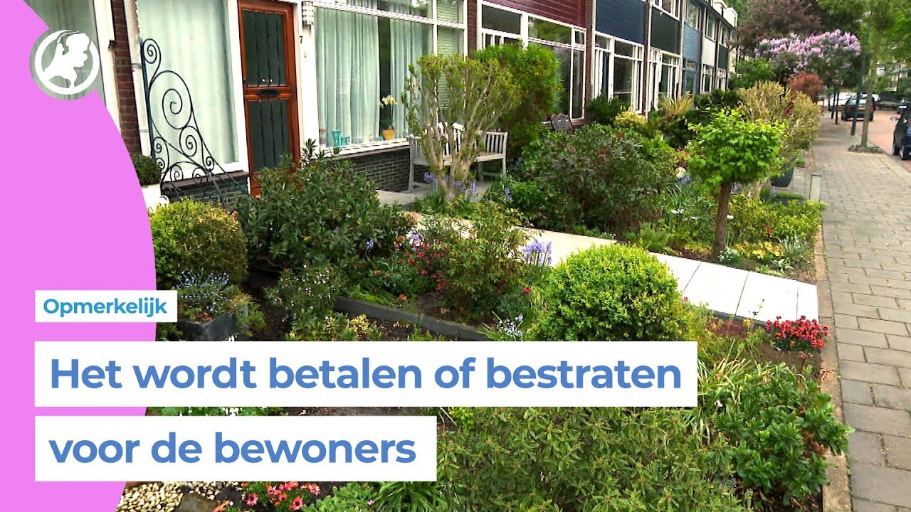 Haarlemse buurt boos op gemeente om 'voortuinbeleid'