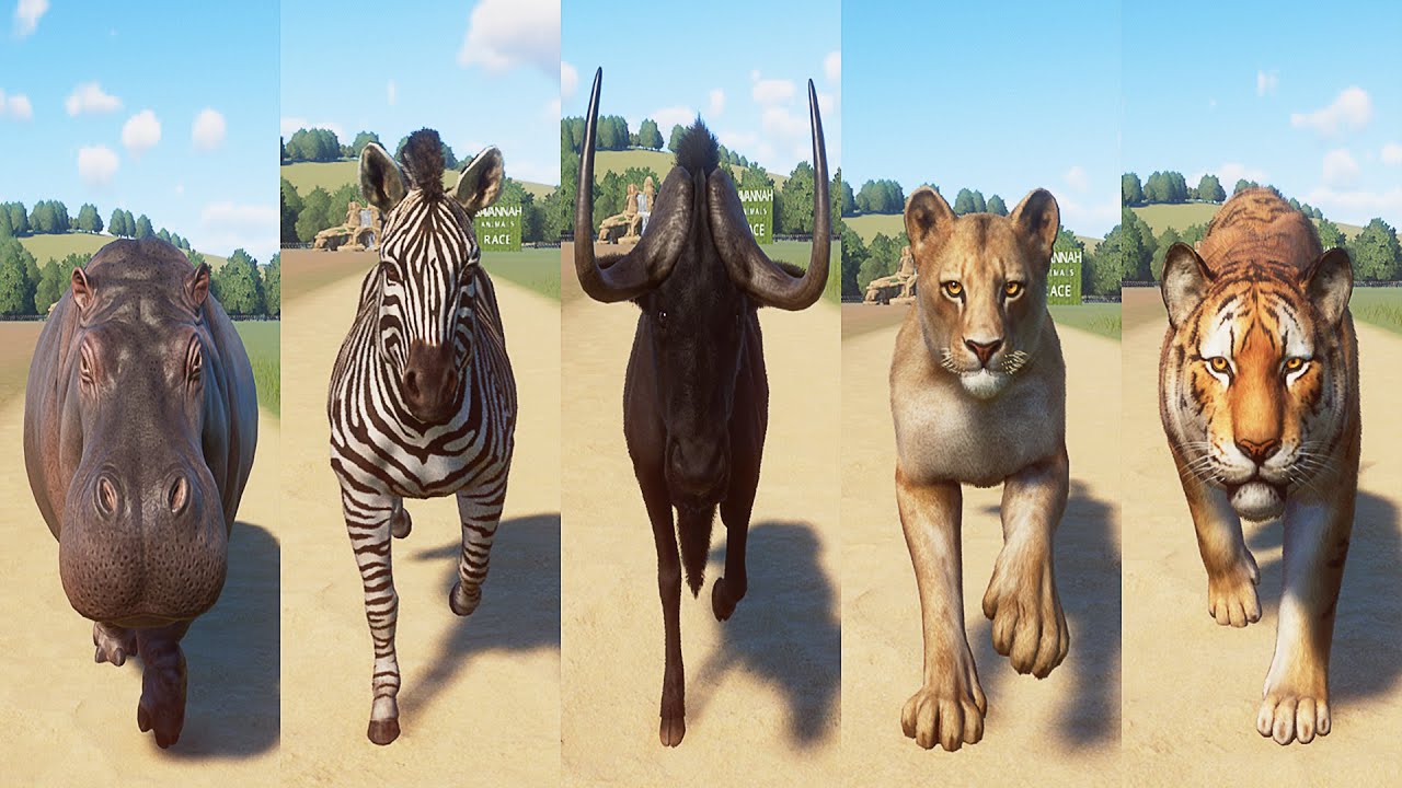 Planet Zoo - New Update 1.7 and North America Animal Pack | Savannah Animals Races in Planet Zoo