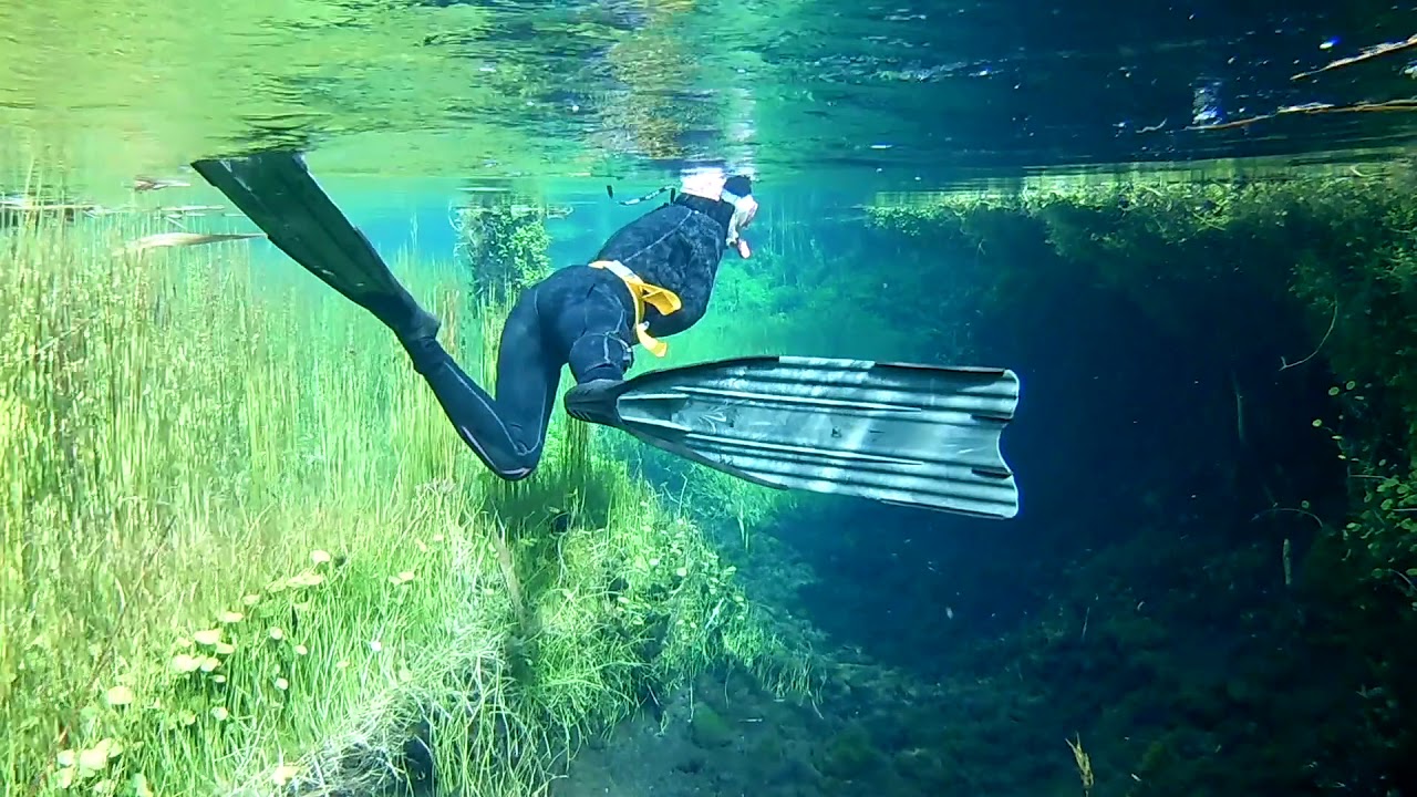 Freediving Ewens and Piccaninnie Ponds