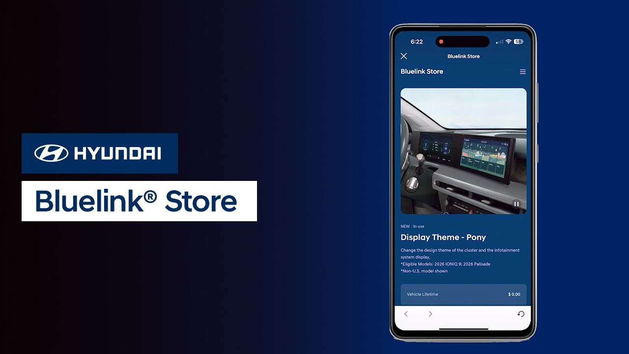 Bluelink&reg; Store | Bluelink | Hyundai