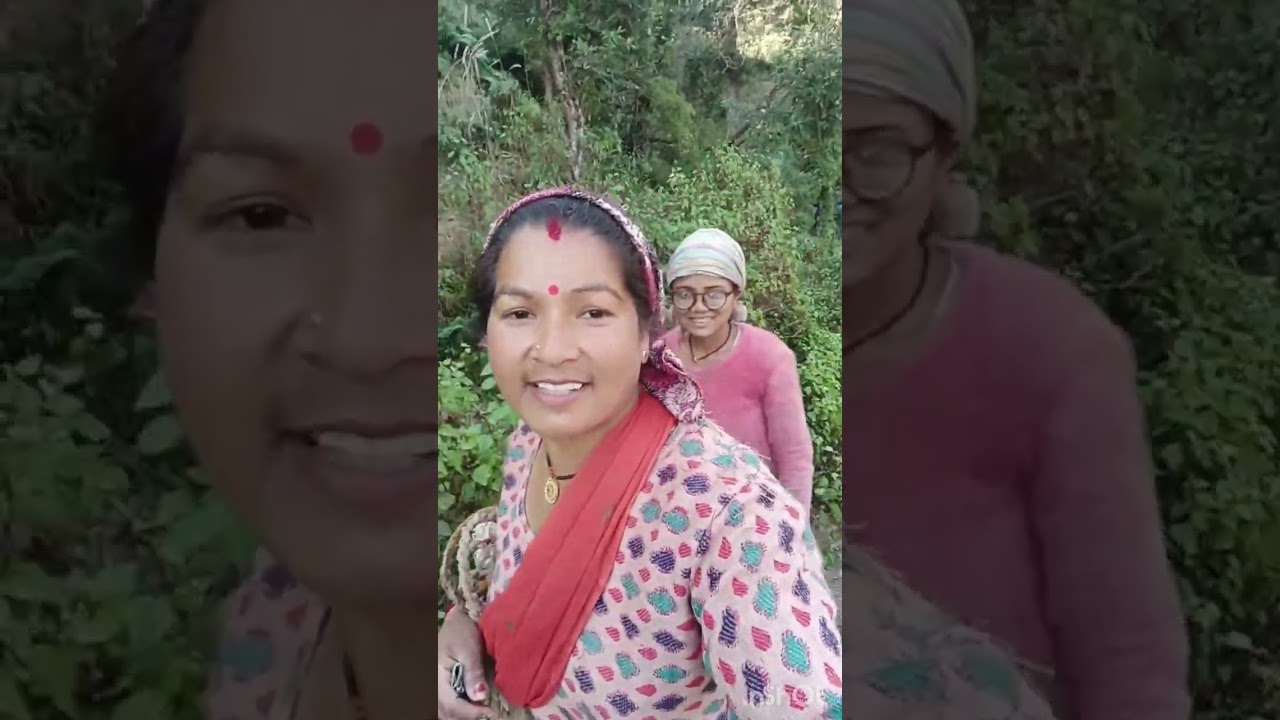 घास का लूटा पहुंचा दिया घर🥰👍