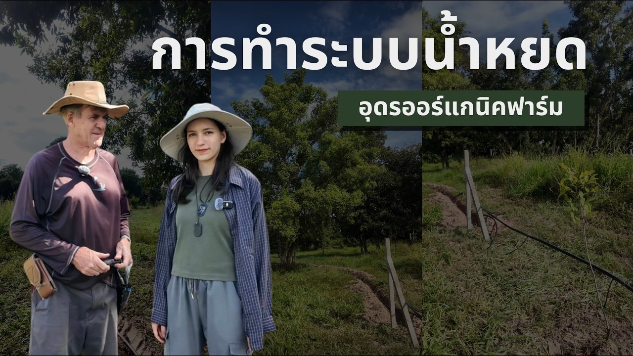 การทำระบบน้ำหยด | Udon Organic Farm