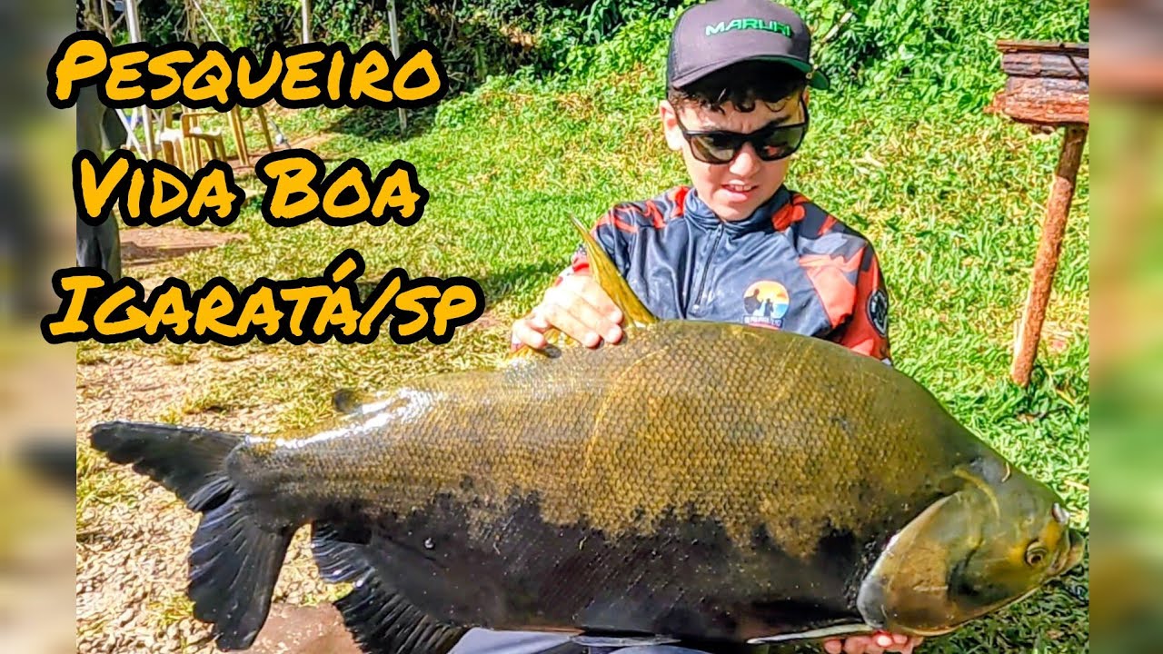PESQUEIRO VIDA BOA  !!!  LOCALIZADO EM IGARATÁ INTERIOR DE SÃO PAULO  !!!  SISTEMA BÓIA PÃO  !!!