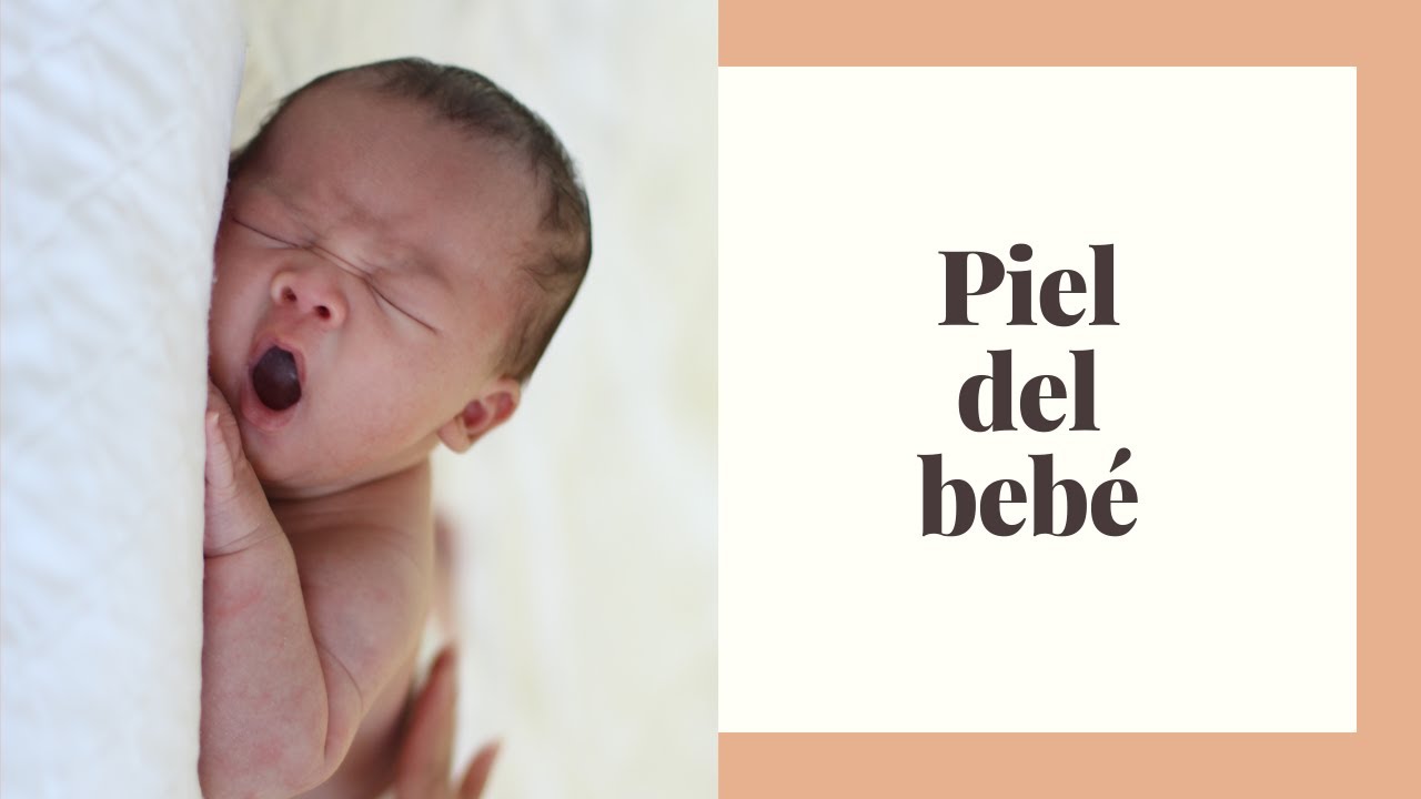 La piel del recién nacido