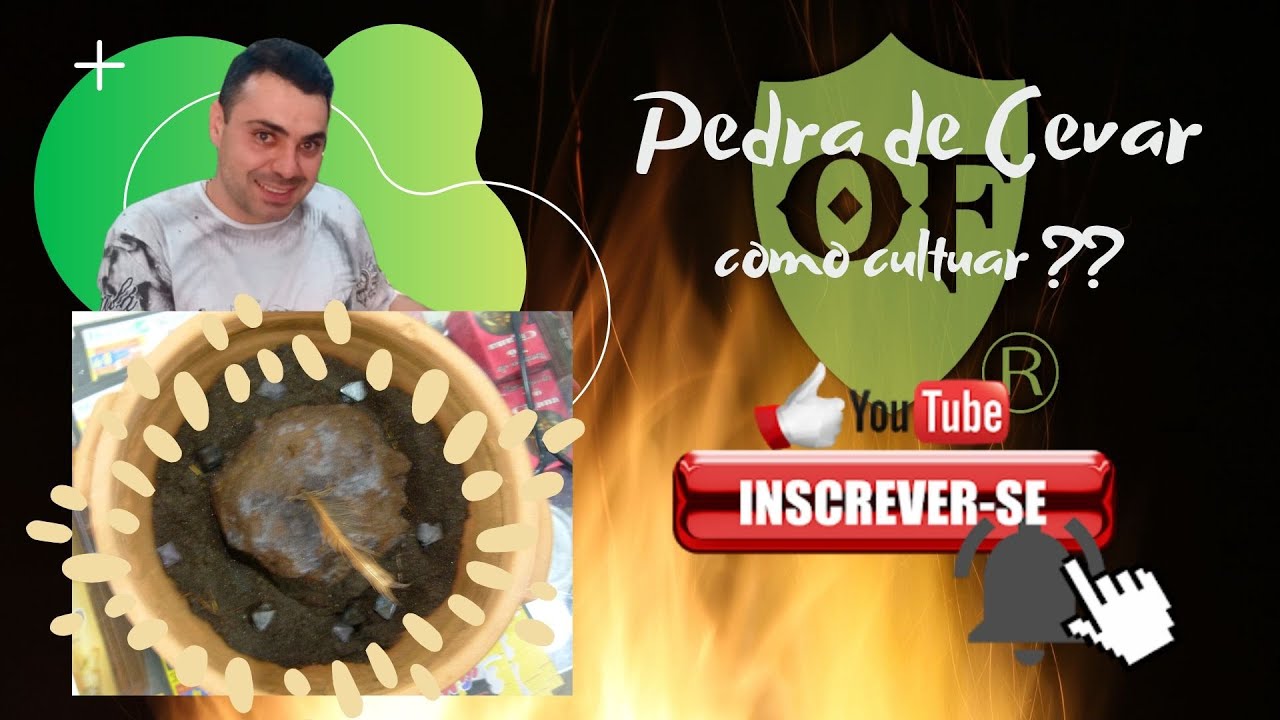 Pedra de Cevar Como Cultua....