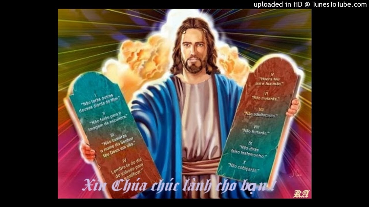 Suy niệm Chúa nhật 6 mùa TN năm A của LM Tạ duy Tuyền (đón xuân trong tin mừng )