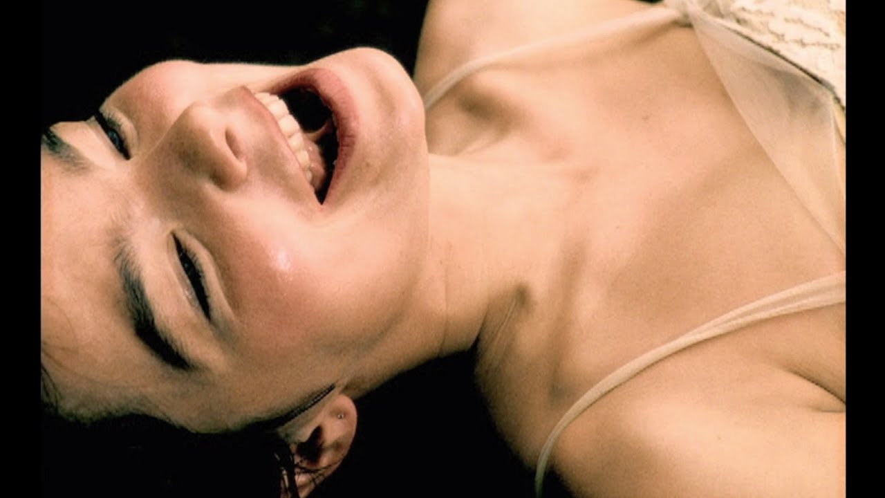 bj&ouml;rk : alarm call