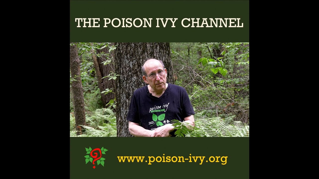 Welcome to The Poison Ivy Channel