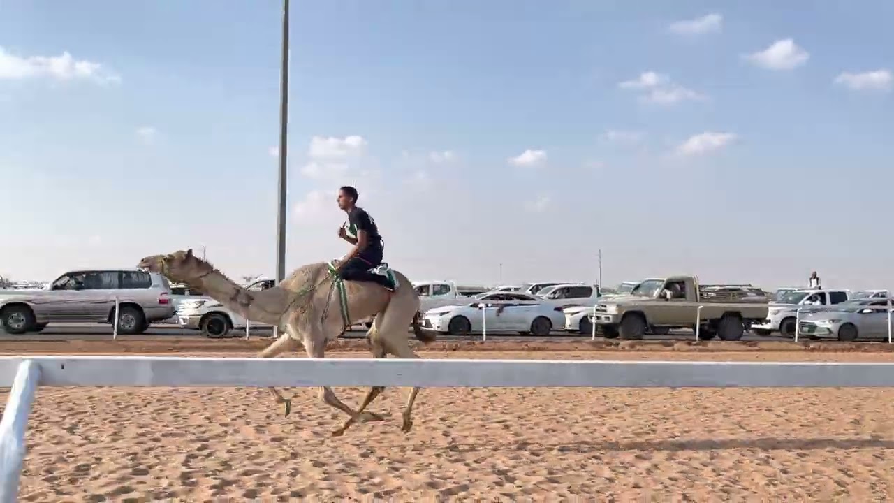 ش2 الرئيسي زمول مارثون متعب ل محمد بن عطيه  المسعودي