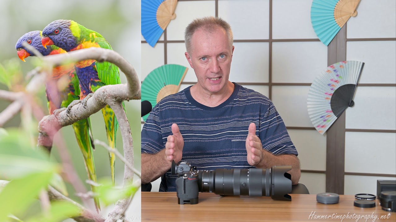 Nikon Z, 2X Teleconverter and Z7 11 Review