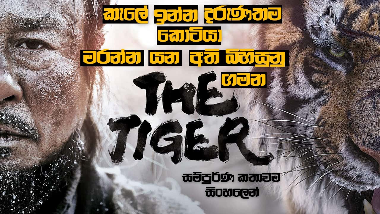 දරුණතම කොටියා මරන්න යන අති බිහිසුනු ගමන | THE TIGER MOVIE EXPLAINED IN SINHALA | #12Min_Express