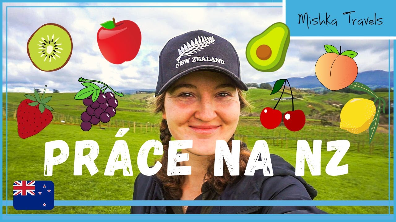 PRÁCE NA NOVÉM ZÉLANDU: Co se kde a kdy sbírá | Jak sehnat práci (Working Holiday Nový Zéland)
