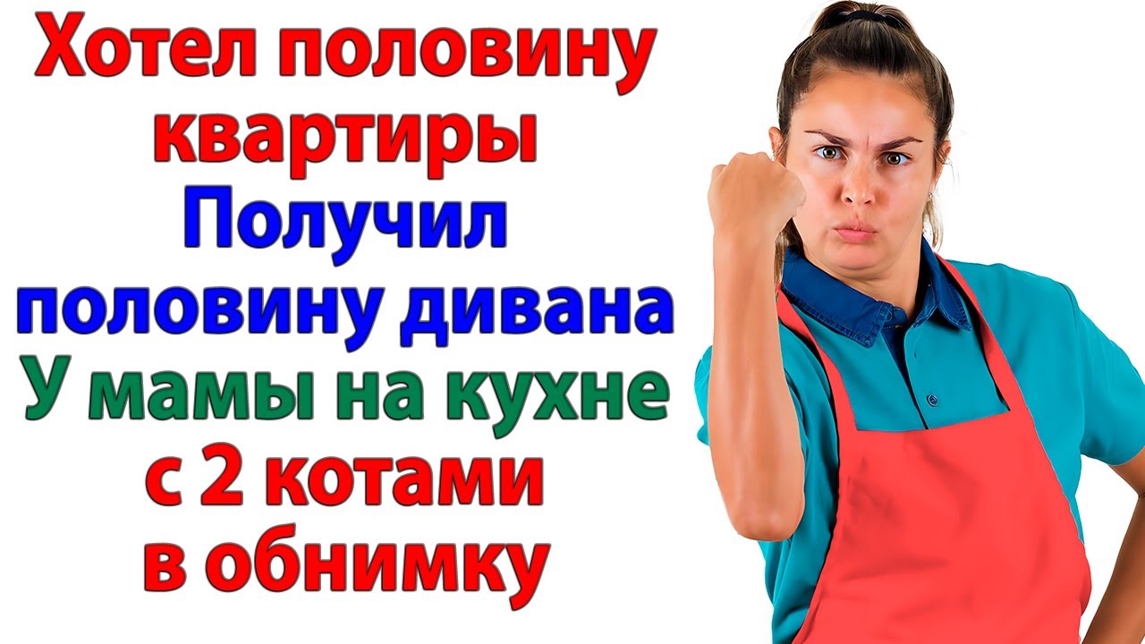 Хотел быть хозяином? Стал квартирантом на старом диване мамы! женские истории свекровь и невестка
