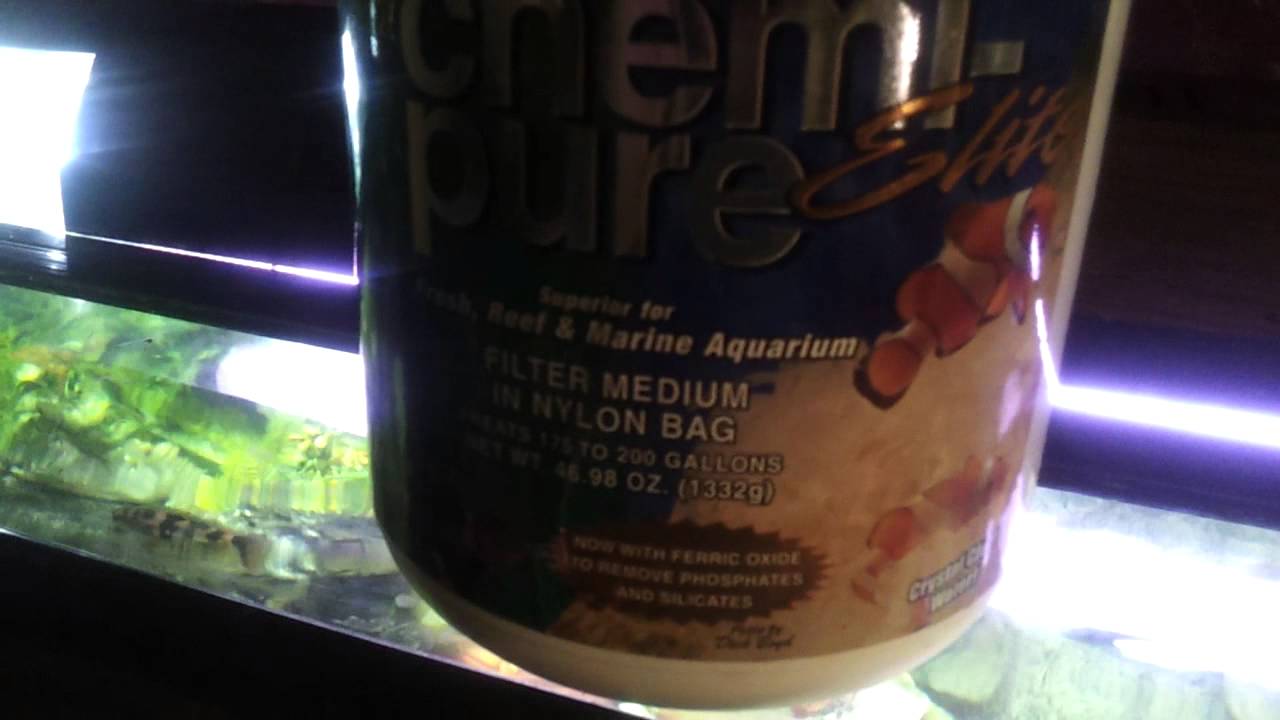 Seachem purigen vs chemipure elite pt1