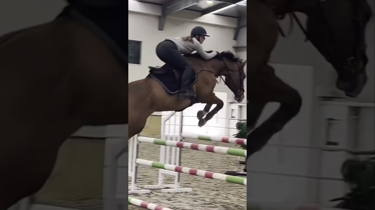 😉#horses #equestrian #noscope #training #oldvideo #stablelife #insidears #fyp #shorts #blowup