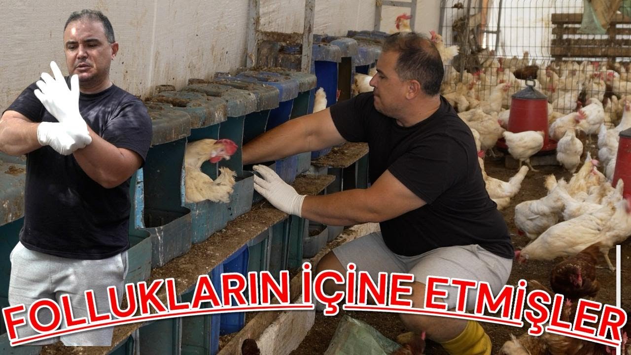 FOLLUKLARIN İÇİNE ETMİŞLER...?? YİNE TEMİZLİK İŞİ ÇIKTI...
