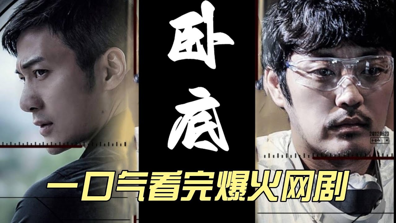 一口气看完爆火网剧《卧底》一二季合集 #中国电视剧 #大陆剧