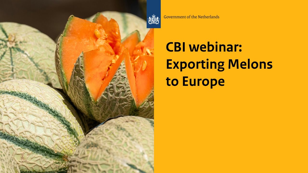 Exporting melons to Europe