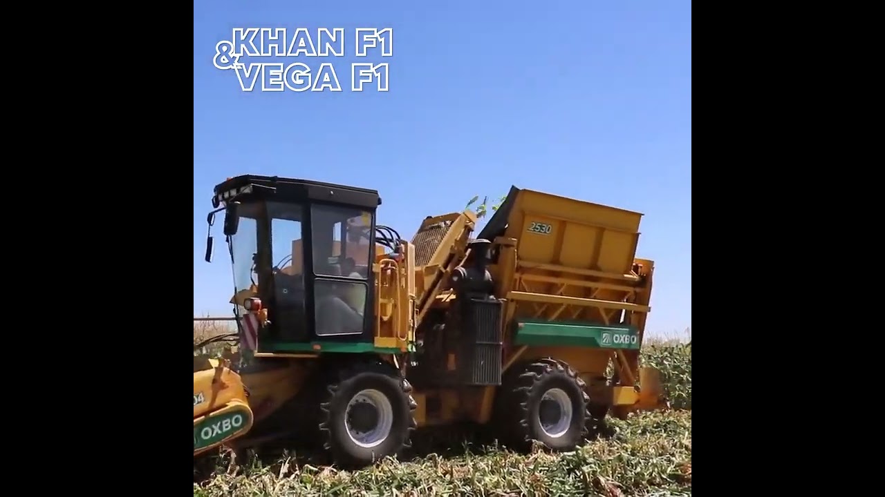 Dondurulmuş sebze üreticisi Muti Gıda, Khan F1 ve Vega F1 tatlı mısır çeşitlerimizi tercih etti!